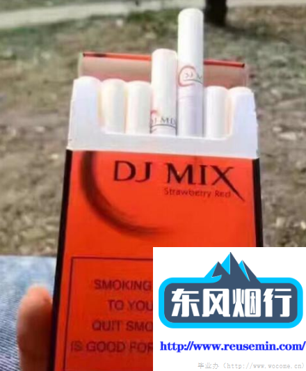 免税店 网购户外烟囱防倒烟怎么做视频图片