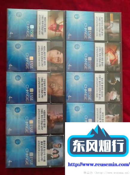 国外烟筒翻新多少钱一米