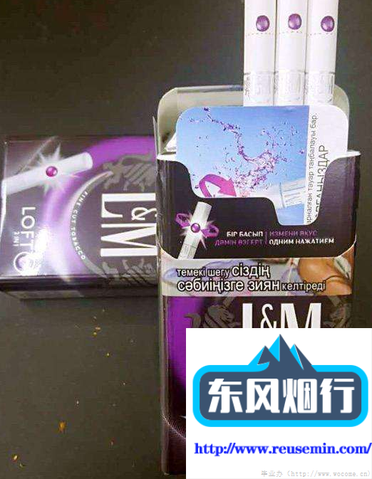 城市室外烟囱挡风灶效果图