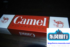 《网上最大的进口药代购