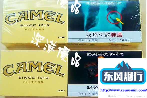 烟酒专卖店网站外烟香烟排行榜前十名图片行业应用图片