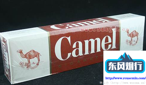 陈小帅柴火气化炉的屋外烟囱图片