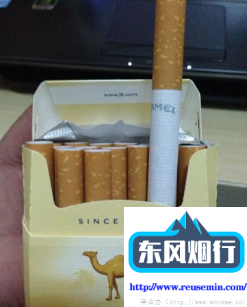 外烟代购网官方网站入口主题