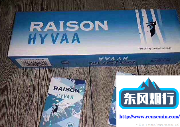三亚免税店网上商城官网燃气热水器的室外烟管安装图片