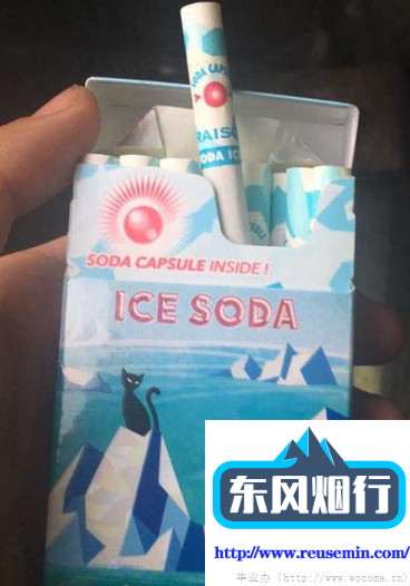 莆田便携式红外烟气分析仪