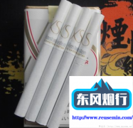海外购货平台-户外烟囱调